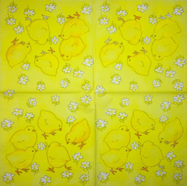 049 Küken - 3-lagig - (49)